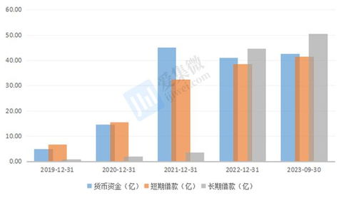 格科微布局中高像素CIS与自建Fab厂 短期财务承压，长期战略可期