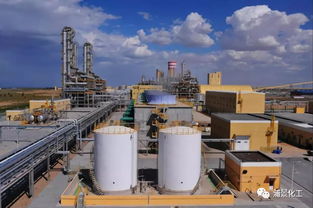 新杭能源与亿利洁能首次注入乙二醇上市业务，拓展经营性演出及经纪业务新领域